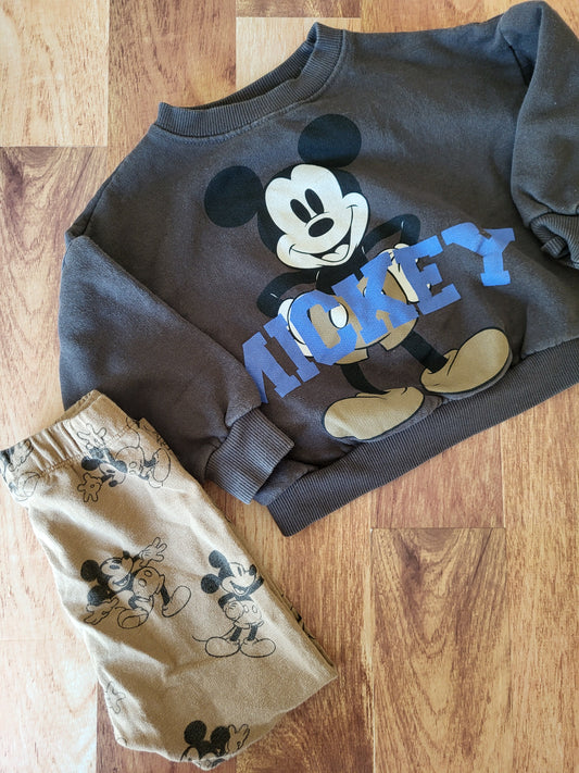 Ensemble zara - 3-4 ans