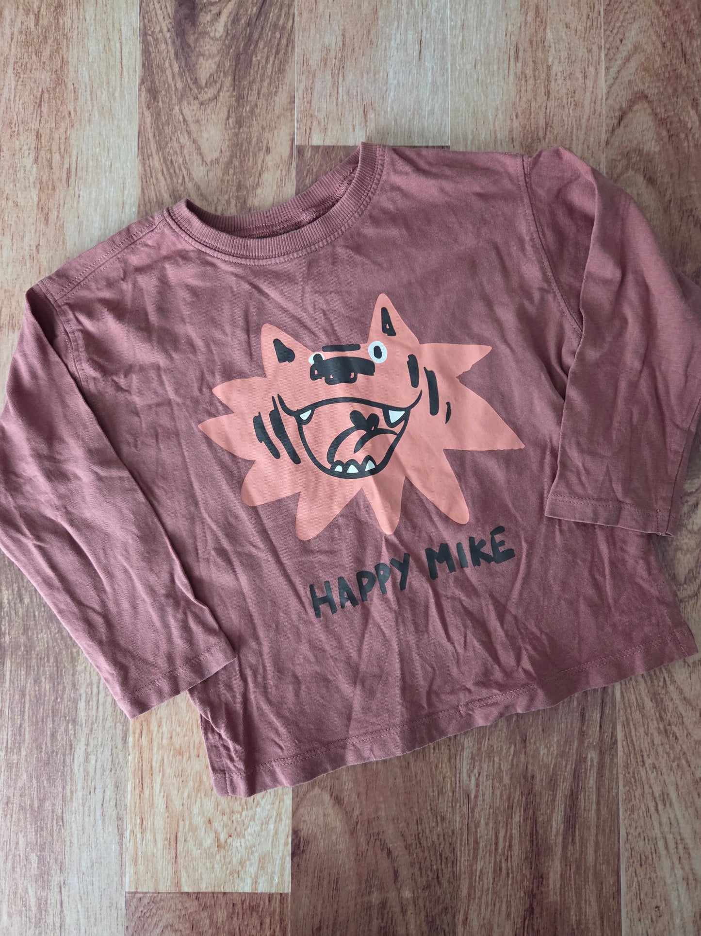 Chandail zara - 2-3 ans