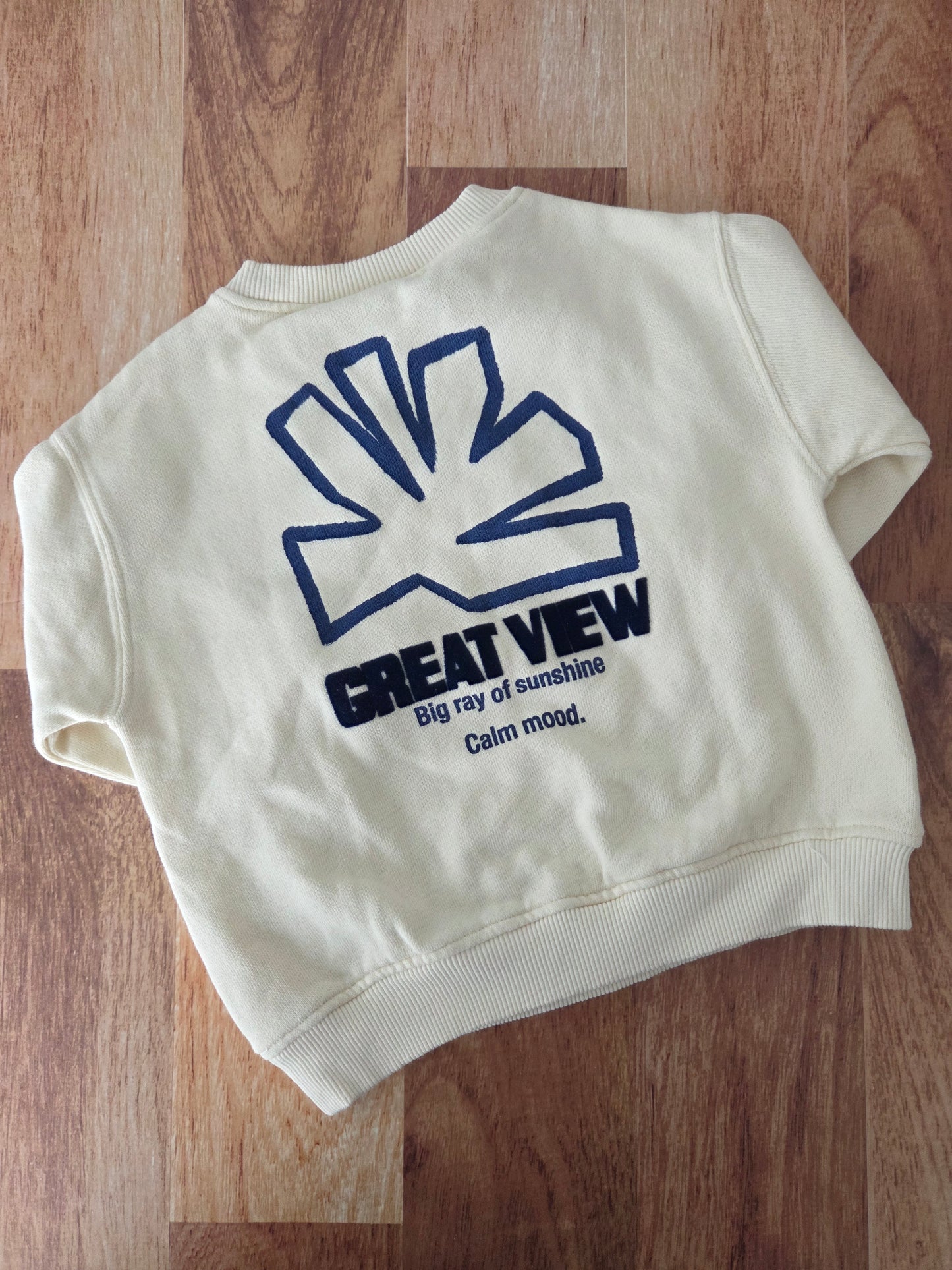 Crewneck zara - 9-12 mois neuf sans étiquette