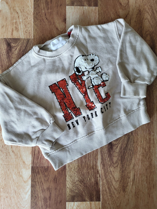 Crewneck zara - 6 ans (très petit)