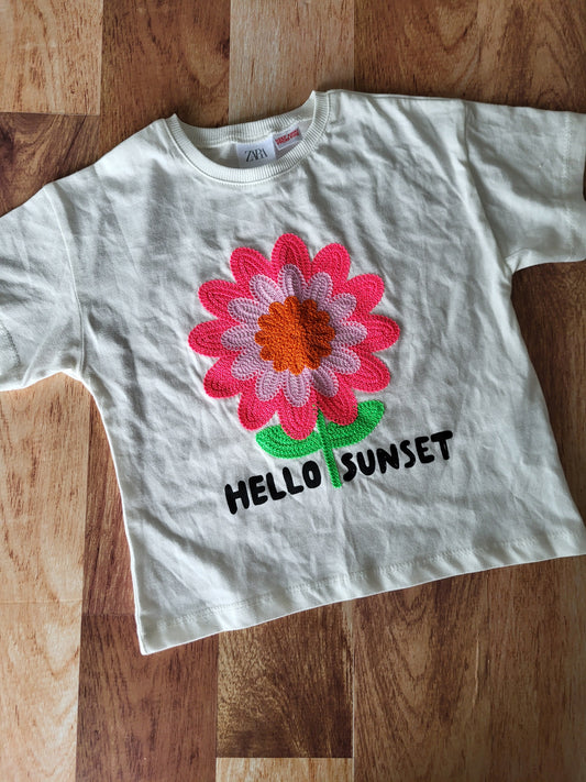 Chandail zara - 3-4 ans