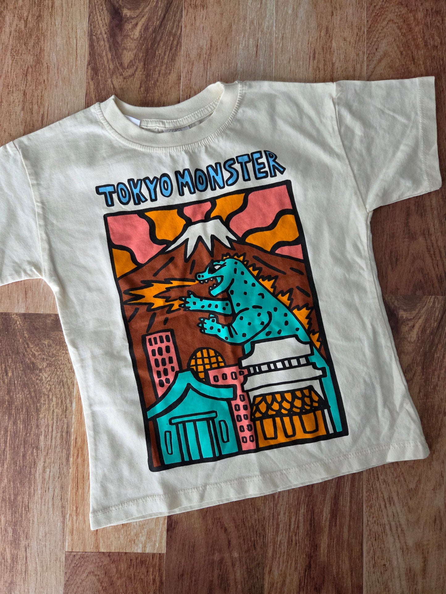 Chandail zara - 4-5 ans