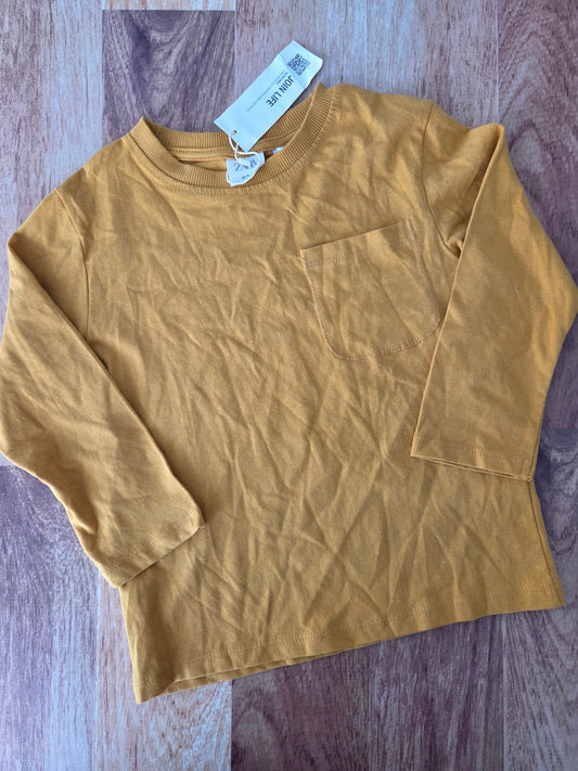 Chandail zara - 2-3 ans